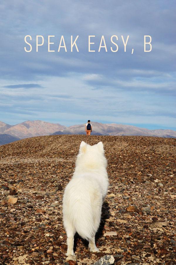 Speak Easy B Poster 1